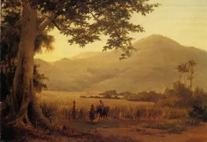 Antilian Landscape, St. Thomas by Art