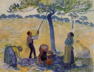 Picking Apples by Camille Pissarro Art
