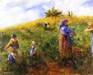 Picking Peas II by Camille Pissarro - Hand-Painted Oil Painting Reproduction