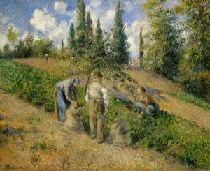 The Harvest, Pontoise by Camille Pissarro Art