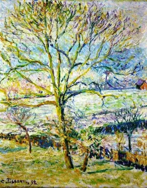Walnut Tree by Art